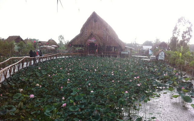 Bàu Sen - Nhà Hàng Sinh Thái ở Đồng Tháp