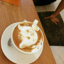 ICHI Cat Cafe - Cafe Mèo