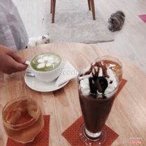 ICHI Cat Cafe - Cafe Mèo