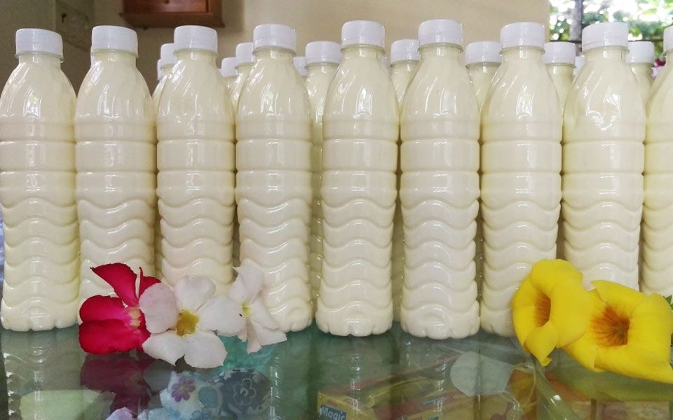 Sữa Tươi Cô Oanh ở Quận 10, TP. HCM | Foody.vn