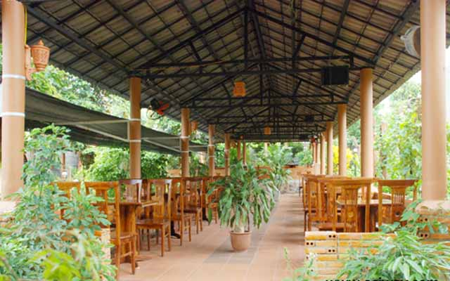 Cafe Ngõ Vàng Quỳ - Sân Vườn Lãng Mạn ở Đắk Lắk