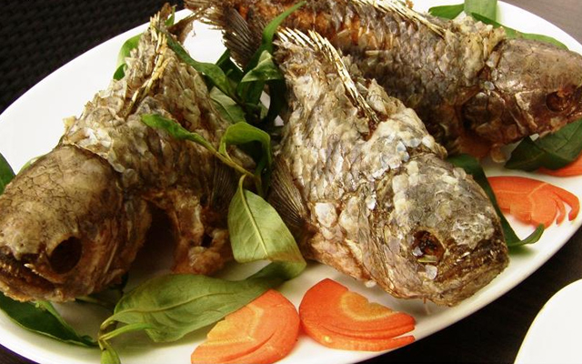 Gia Bảo - Câu Cá Giải Trí ở Quận Gò Vấp, TP. HCM | Foody.vn