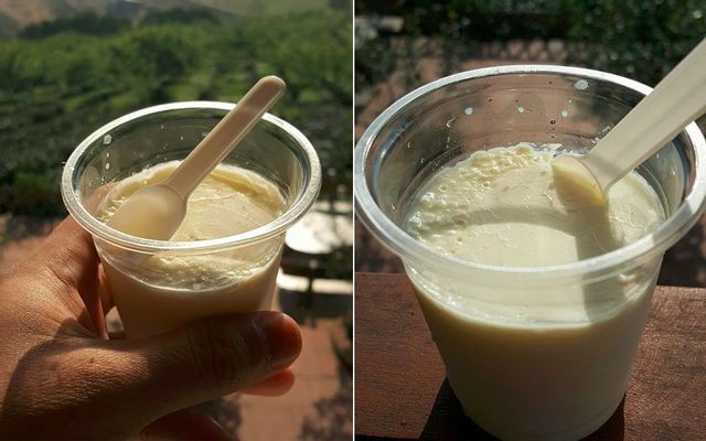 Chè & Sữa Chua - Đặc Sản Mộc Châu ở Sơn La