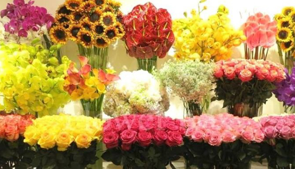 Shop hoa tươi: Hãy đến với cửa hàng hoa của chúng tôi để tìm kiếm những bó hoa tươi đẹp và sáng tạo nhất. Với đa dạng các loại hoa, từ hoa hồng cho đến hoa cúc đều có thể được tìm thấy tại đây. Với chất lượng hoa tươi và dịch vụ chuyên nghiệp, chắc chắn bạn sẽ tìm thấy sự hài lòng tại cửa hàng của chúng tôi.